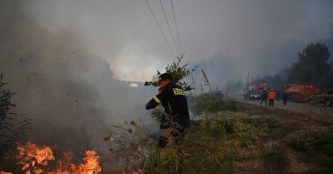 Από κολώνα ηλεκτροδότησης ξεκίνησε και η φωτιά στη Χαλκιδική – Τι έδειξε η αυτοψία