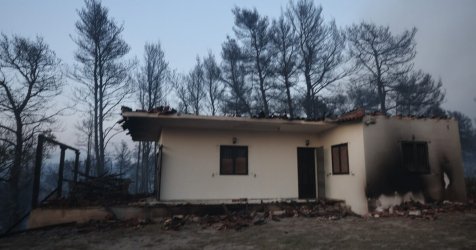 Φωτιά στη Χαλκιδική: Ελεύθεροι δύο εργολάβοι του ΔΕΔΔΗΕ