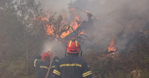 Χαλκιδική: Βίντεο ντοκουμέντο από τη στιγμή που ξέσπασε η μεγάλη φωτιά