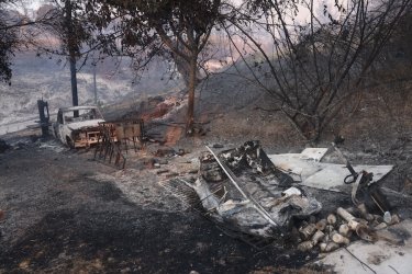 Φωτιά στη Σίβηρη Χαλκιδικής: Ο απολογισμός της καταστροφής από το Copernicus – Στα 2.480 στρέμματα η καμένη έκταση