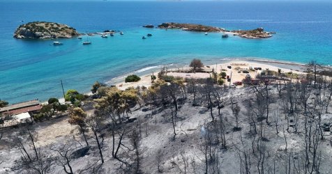 Αντιδρούν οι γεωτεχνικοί για την κριτική στο Antinero μετά τις φωτιές – «Τα παπαγαλάκια έπιασαν πάλι δουλειά»