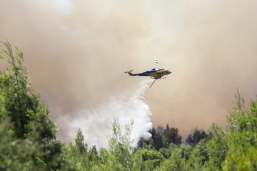 Φωτιά τώρα στην Λακωνία – Στη μάχη 4 εναέρια μέσα