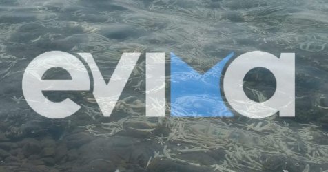 Σάστισαν λουόμενοι στην Εύβοια: Χιλιάδες πόδια από κότες και γαλοπούλες ξεβράστηκαν σε ακτή (Εικόνα)