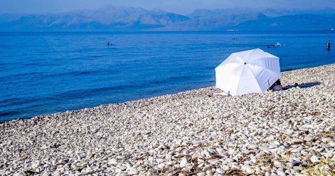 Καύσωνας: Πέντε περιοχές ξεπέρασαν τους 40 βαθμούς την Τρίτη 25/8 – Δείτε χάρτη