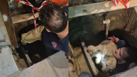 Η στιγμή που πυροσβέστης στη Θεσσαλονίκη σώζει σκύλο από φρεάτιο 3 μέτρων – Δείτε βίντεο
